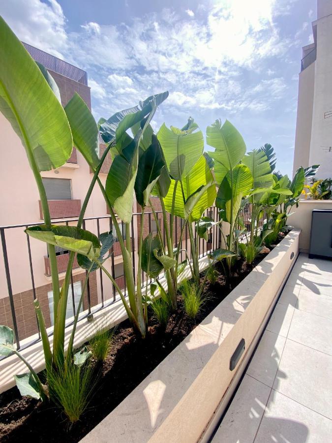 Hotel-Apartment With Big Terrace PMI Dış mekan fotoğraf